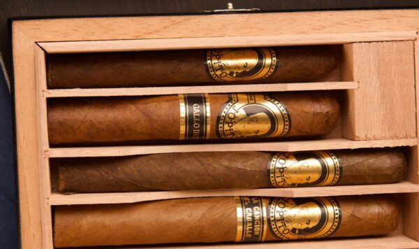 Jopito Seleccion Madera Negra Coleccion