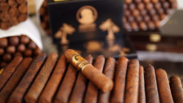 Jopito Semiprensado Habano 2000